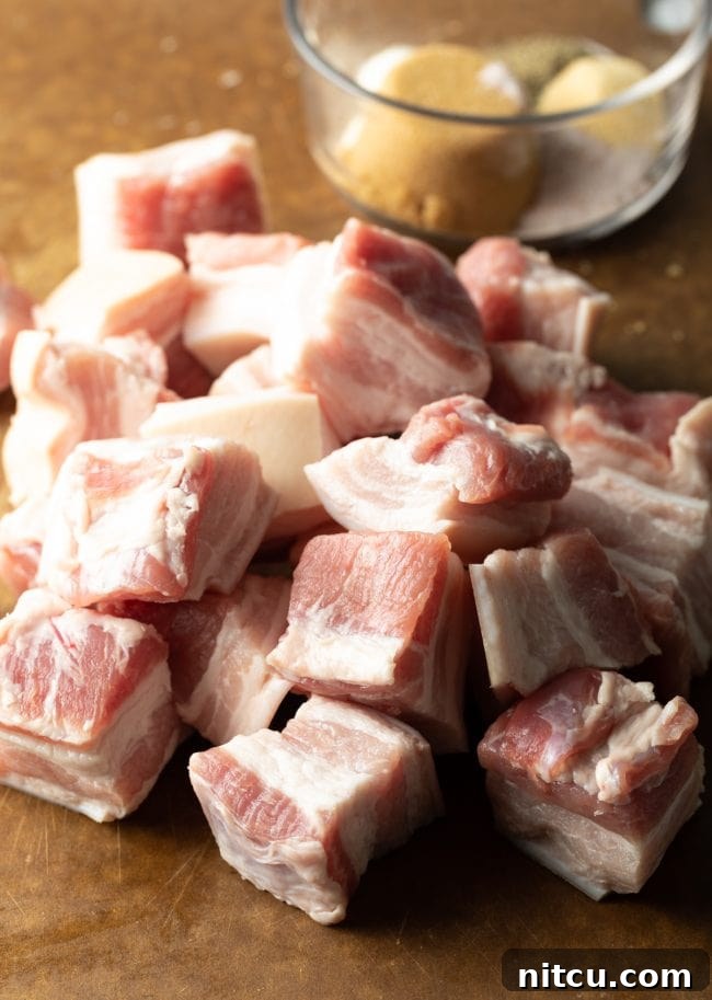 BBQ Pork Belly Candy Bites 6 Uncooked bite-sized pork belly cubes, perfectly prepared for seasoning.