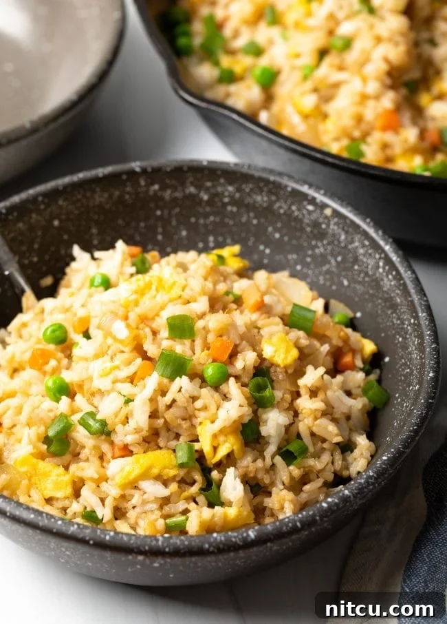 Perfect Homemade Hibachi Rice 2 Bowl of hibachi style fried rice, perfectly garnished.