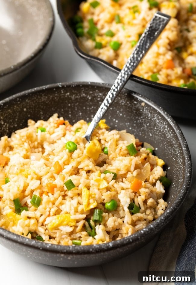 Perfect Homemade Hibachi Rice 12 Bowl of cooked hibachi fried rice with a spoon, showing off its delicious details.
