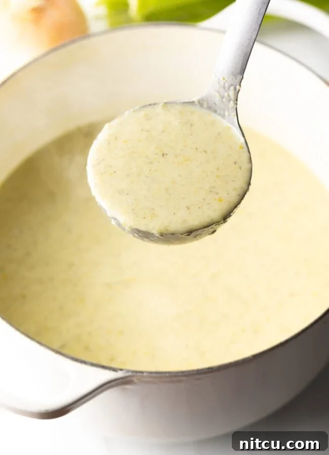 Metal ladle with cream of celery soup held to camera.