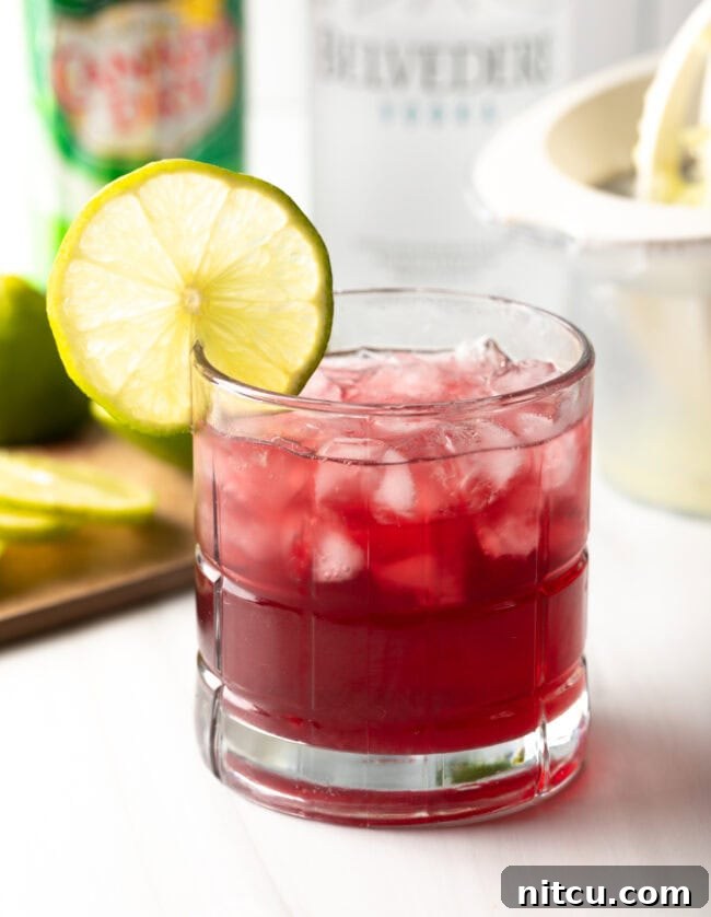 Lifeforce Infusion 11 Close-up view of a classic Transfusion drink garnished with a single lime slice, highlighting its inviting color.
