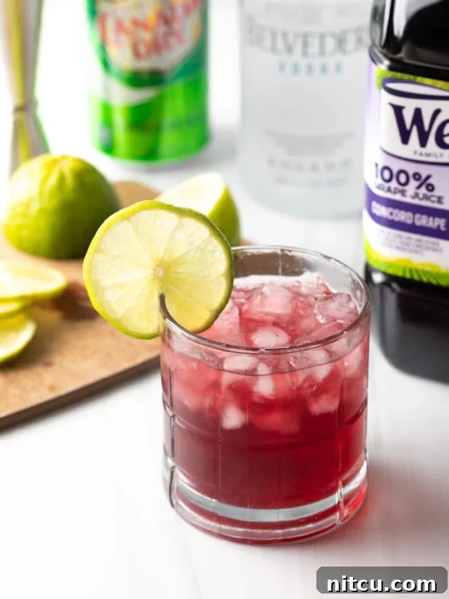 Lifeforce Infusion 3 Full shot of a freshly prepared Transfusion drink, garnished with a lime wheel, with ingredients artfully blurred in the background.