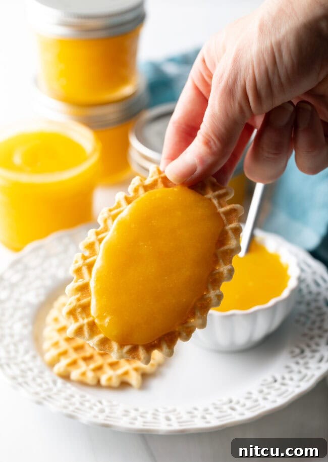 Sunshine Orange Curd 11 Hand holding cookie with orange curd towards camera. A hand delicately holds a cookie generously topped with vibrant orange curd, presenting it towards the camera. This shot perfectly captures the appealing texture of the curd and suggests a delicious moment of indulgence, highlighting the curd's rich color and smooth consistency.
