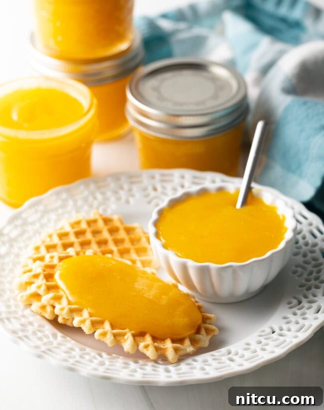 Sunshine Orange Curd 10 Plate with cookies, one with orange curd on top, and little bowl of curd in the background. A beautifully composed shot featuring a plate of assorted cookies, one generously topped with golden orange curd, and a small bowl of the curd in the background. This image showcases a tempting serving suggestion for the versatile spread.