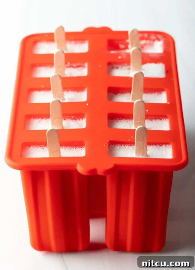 Creamy Dairy-Free Coconut Popsicles 8 A frozen popsicle mold with the lid removed, revealing the perfectly set coconut ice pops.