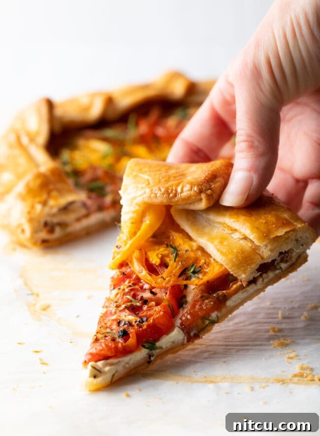 Rustic Italian Tomato Pie 4 A hand holding a slice of Italian Tomato Pie, showcasing the golden crust and layers of colorful heirloom tomatoes and goat cheese.