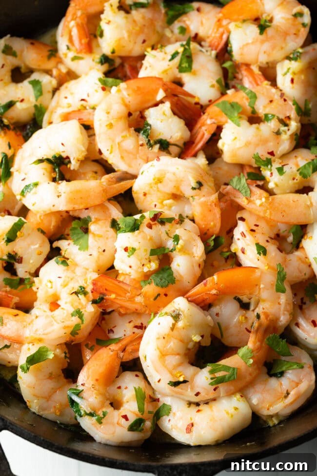 Top close view cooked shrimp with garlic and cilantro.