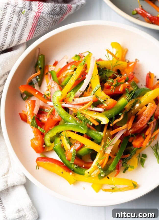 Roasted Pepper Medley 10 A beautiful top-down view of the crunchy bell pepper salad, perfectly tossed and ready to be served, showcasing its vibrant colors.