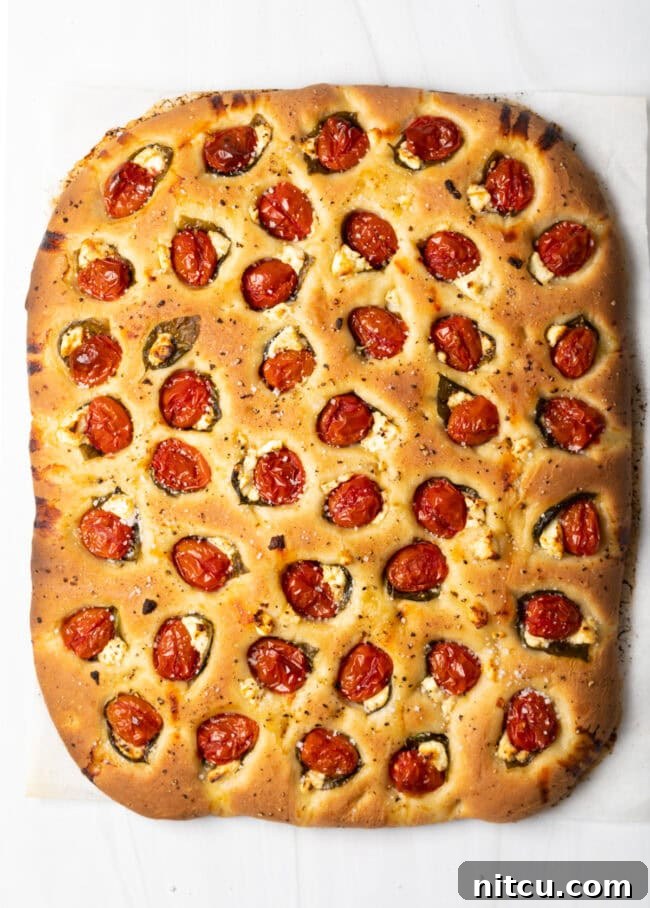 Artisan Tomato Basil Focaccia 3 Top down view focaccia with tomatoes, basil, and cheese.