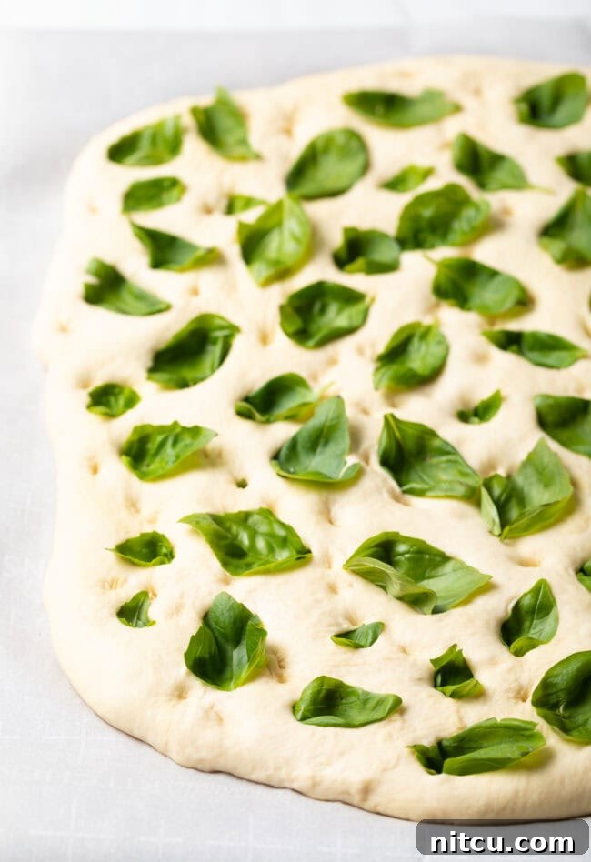 Artisan Tomato Basil Focaccia 7 img 113383 6
