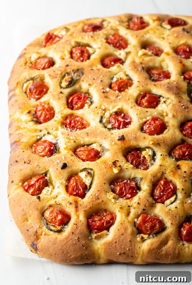 Artisan Tomato Basil Focaccia 10 Close view baked focaccia.