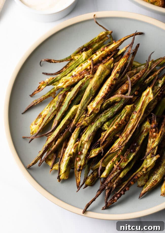 Crispy Air Fryer Okra Fries 16 Top down plate of healthy fries.