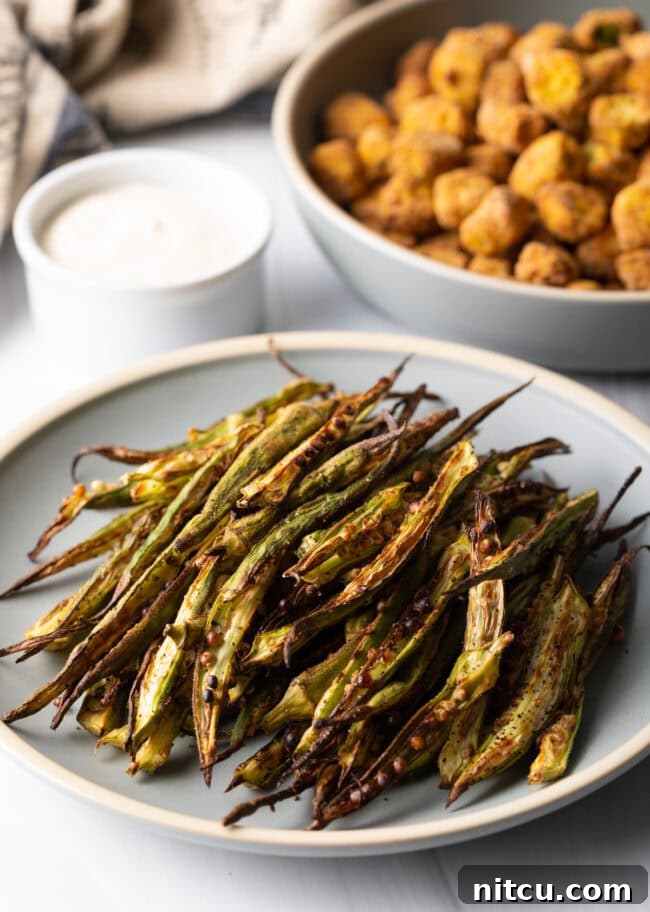Crispy Air Fryer Okra Fries 17 Plate of okra fries.