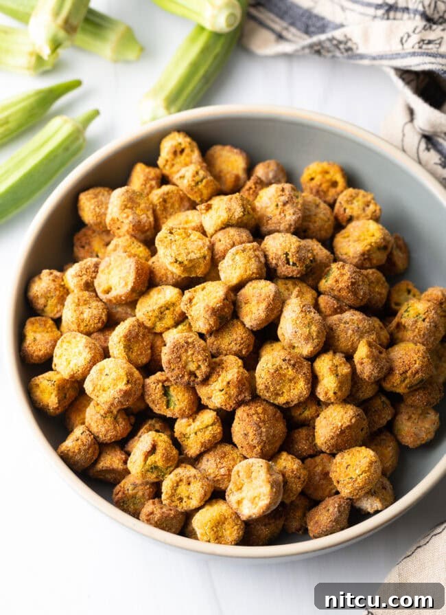 Crispy Air Fryer Okra Fries 3 Top down pieces of crunchy air fried okra.
