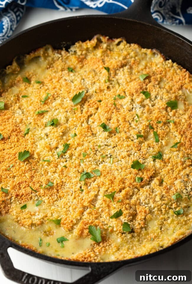 Golden Zucchini Gratin 9 Zucchini casserole with cheese removed from the oven, crispy breadcrumb topping is golden brown.