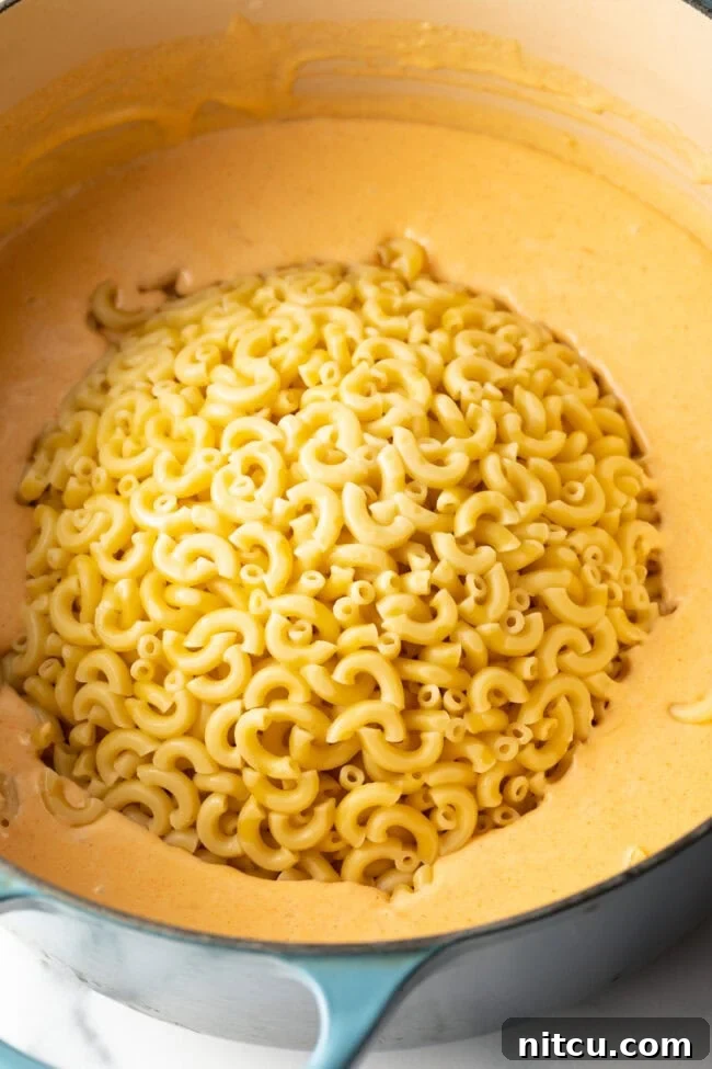 Decadent Shrimp Macaroni and Cheese 8 Drained elbow macaroni noodles being added to the pot with the rich cheese sauce.