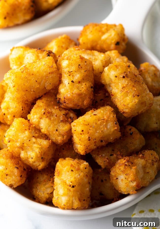 Close view tater tots.