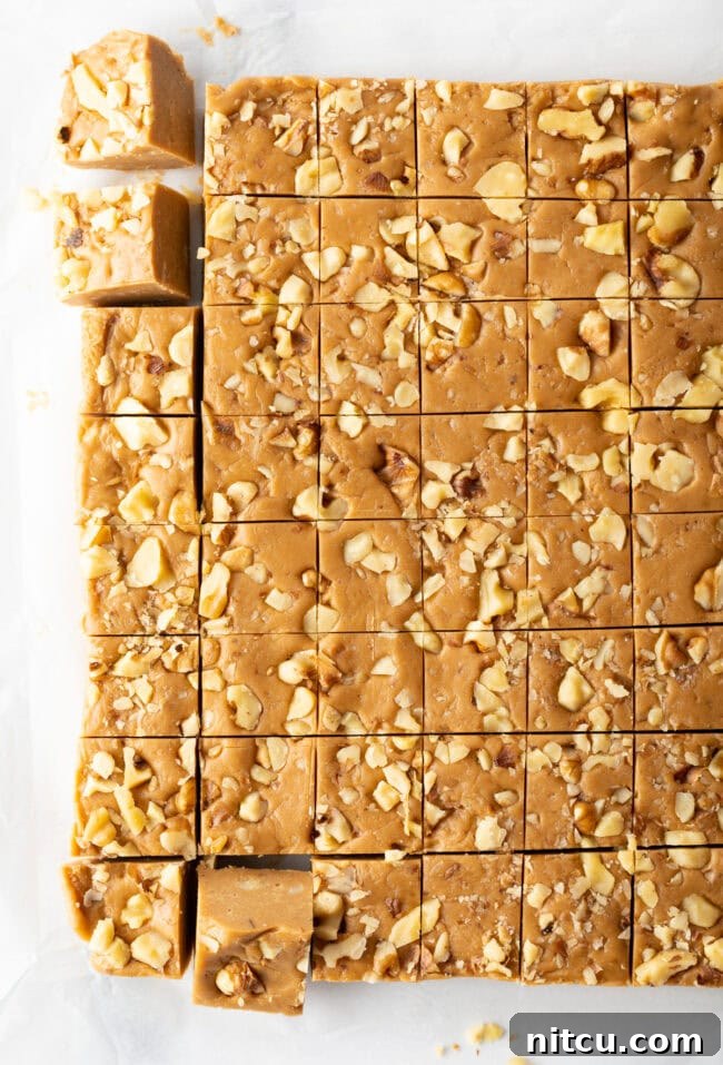 Creamy Maple Walnut Delight 11 Top-down view of maple fudge perfectly cut into small, uniform squares, ready for serving or packaging.