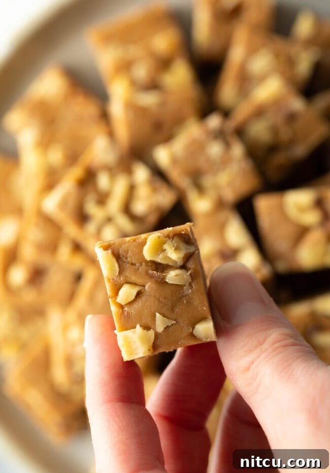 Creamy Maple Walnut Delight 4 A hand holds a perfect piece of homemade maple walnut fudge, showcasing its density and the embedded walnuts.