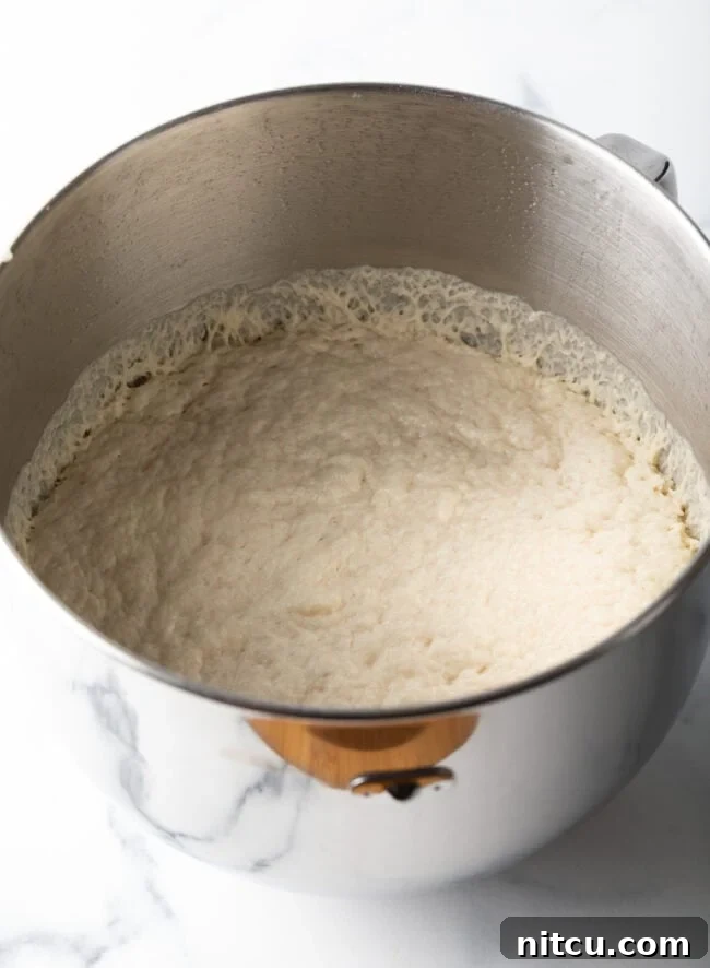 Decadent Cake Creation 6 Wet, sticky dough resting in a metal mixing bowl, ready to rise.