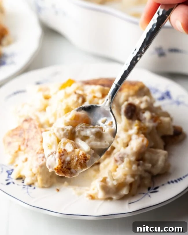 Golden Baked Rice Pudding 4 A metal spoon, perfectly laden with a creamy, raisin-studded bite of baked rice pudding, poised to be savored.