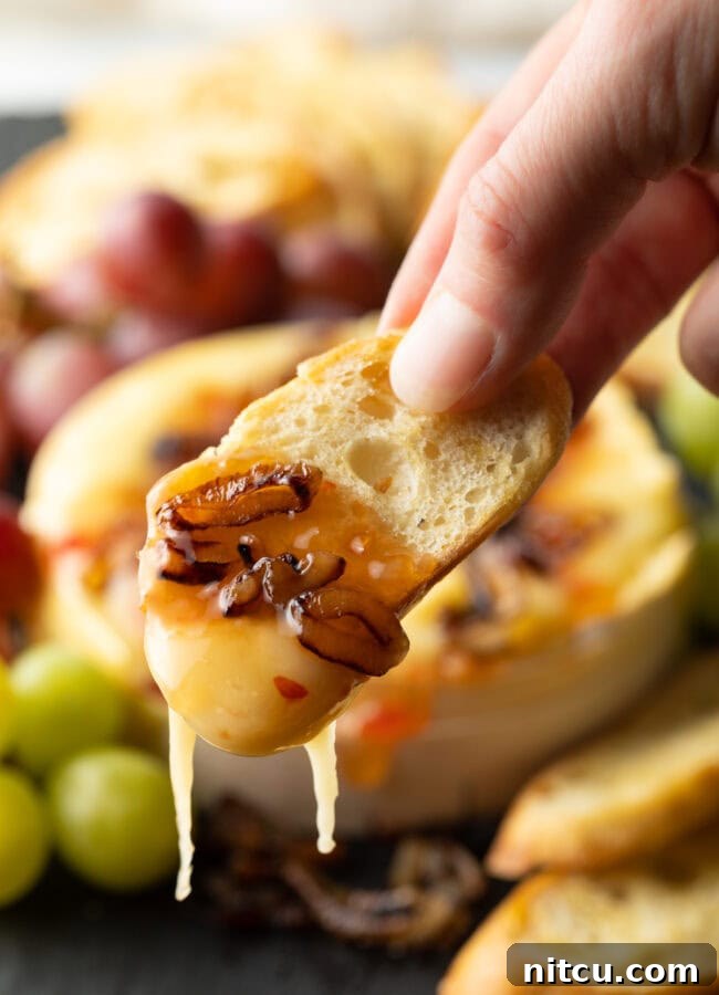 Gooey Baked Camembert Delight 4 Hand holding slice of baguette with molten cheese and shallots, shown to camera.
