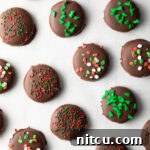 Refreshing Homemade Peppermint Delights 14 Homemade Peppermint Patties
