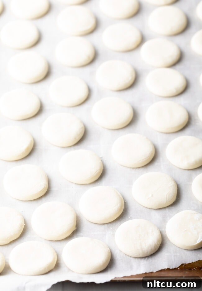 Refreshing Homemade Peppermint Delights 7 Dozens of small white dough discs on parchment paper.