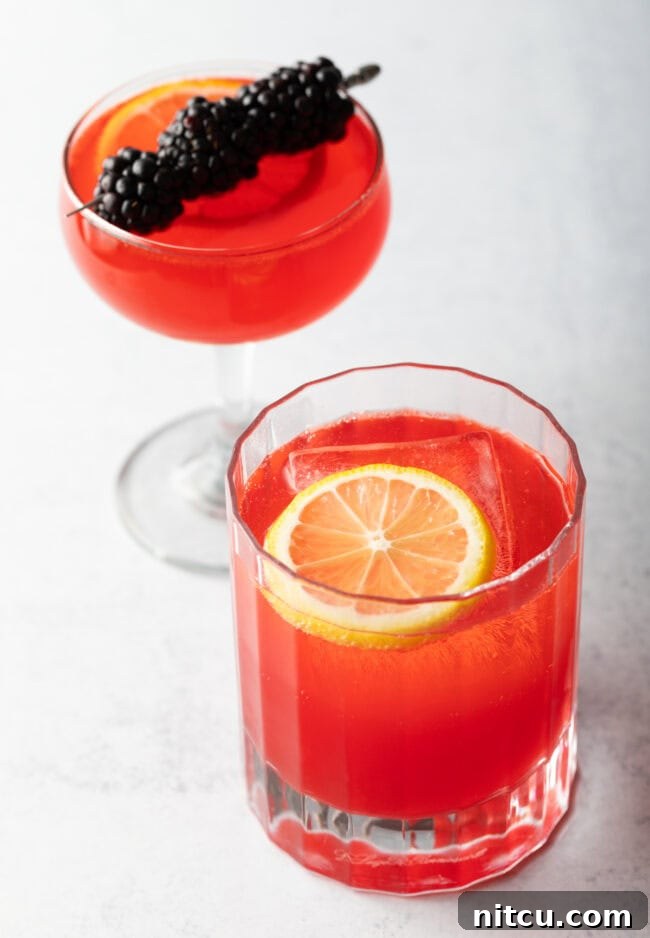 Wild Plum Sparkle 2 Two vibrant pink Sloe Gin Fizz cocktails, one elegantly served in a martini glass garnished with fresh berries, and the other in a short rocks glass with a lemon slice, highlighting their refreshing appeal.