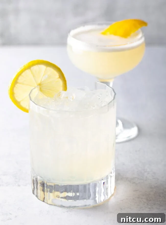 Wild Plum Sparkle 11 Two pristine classic clear Gin Fizz drinks, elegantly garnished with lemon twists, showcasing their refreshing clarity and simplicity.