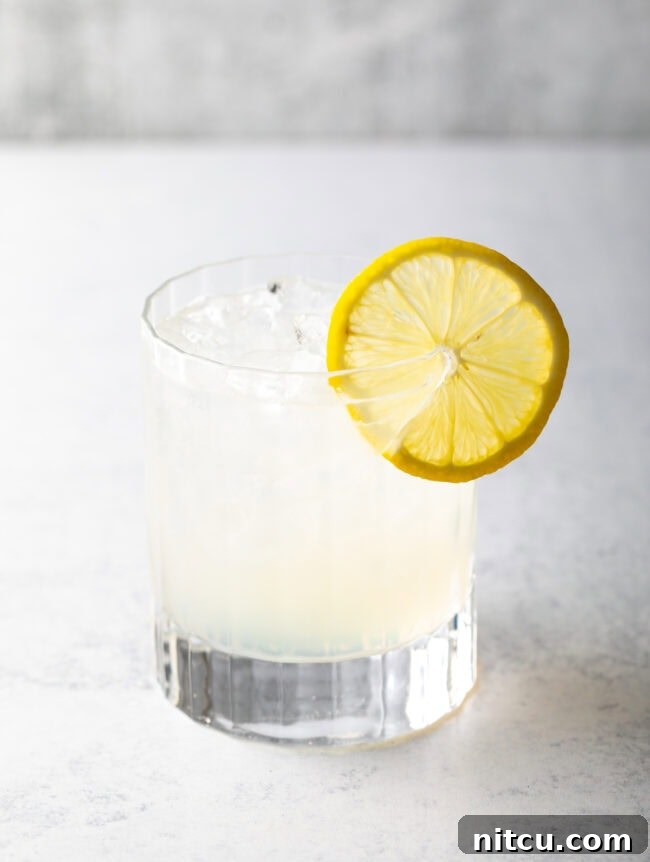 Wild Plum Sparkle 3 A classic Gin Fizz cocktail served in a tall highball glass, featuring a clear, effervescent liquid with a slice of lemon as garnish, embodying its refreshing simplicity.