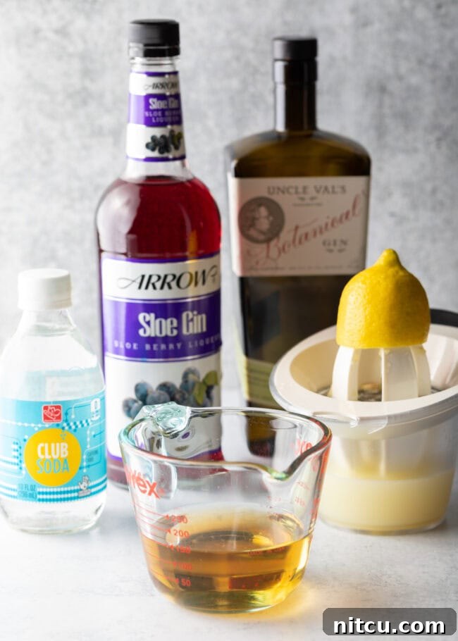 Wild Plum Sparkle 5 Essential ingredients for a Sloe Gin Fizz laid out: bottles of gin and sloe gin, fresh lemons, a pitcher of simple syrup, and a bottle of club soda, ready for cocktail preparation.