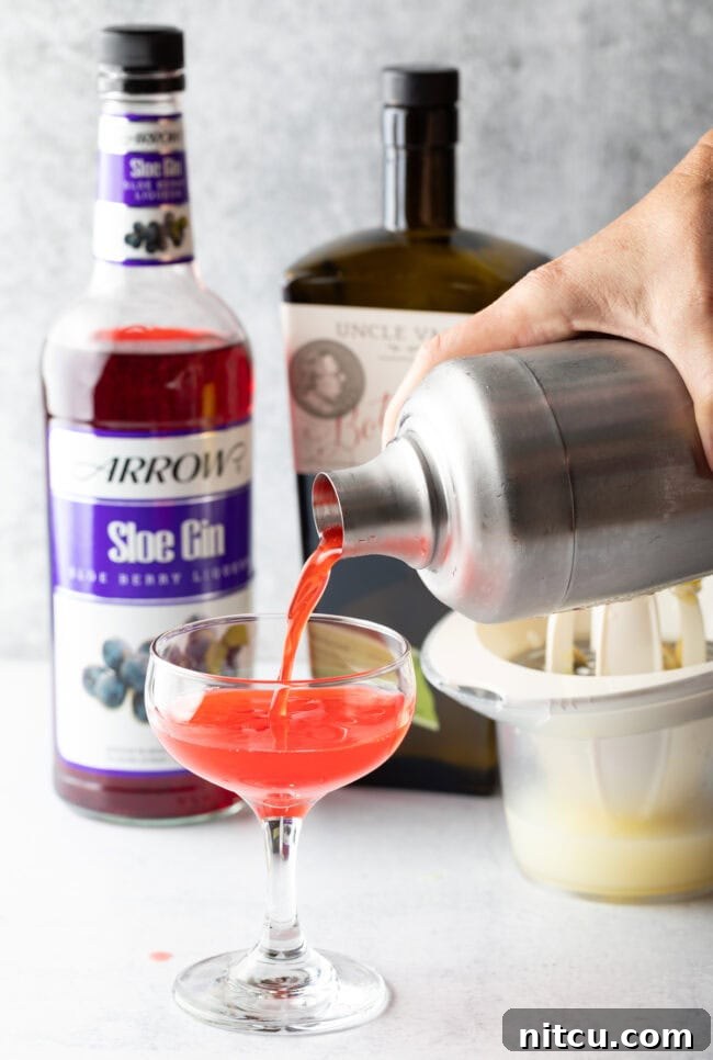 Wild Plum Sparkle 6 A hand pouring the vibrant pink liquid from a metal cocktail shaker into an elegant martini-style glass, illustrating the final step of preparing a Sloe Gin Fizz.