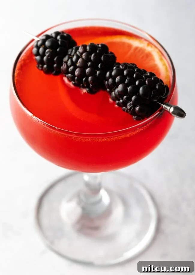 Wild Plum Sparkle 7 A close-up view of a beautifully prepared Sloe Gin Fizz in a martini glass, garnished with a skewer of fresh berries, showcasing its attractive color and elegant presentation.