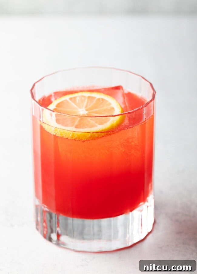 Wild Plum Sparkle 8 A highball glass filled with a Sloe Gin Fizz, garnished with a lemon slice, highlighting its refreshing and inviting appearance.
