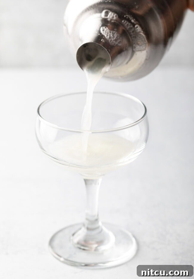 Wild Plum Sparkle 9 A metal shaker glass pouring a clear, frothy liquid into a martini glass, demonstrating the delicate act of serving a classic Gin Fizz.
