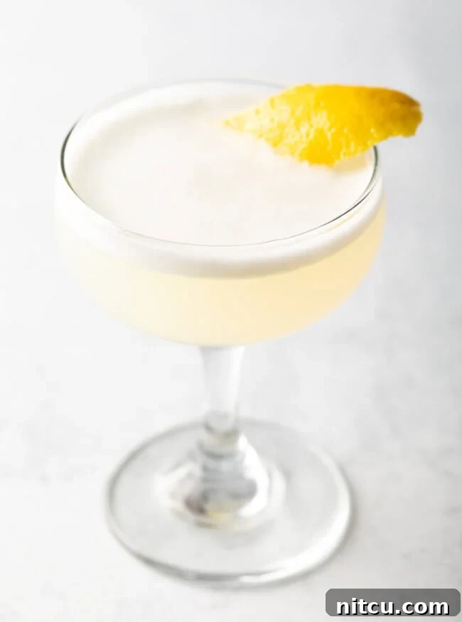 Wild Plum Sparkle 10 A close-up of a frothy Gin Fizz cocktail, garnished with a delicate twist of lemon, highlighting the luxurious texture and elegant presentation achieved with an egg white.