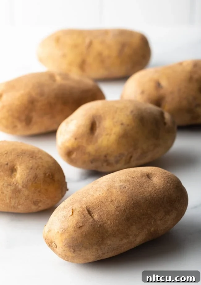 Russet Potatoes Ultimate Recipe and Cooking Tips 5 6 russet potatoes on a white background.