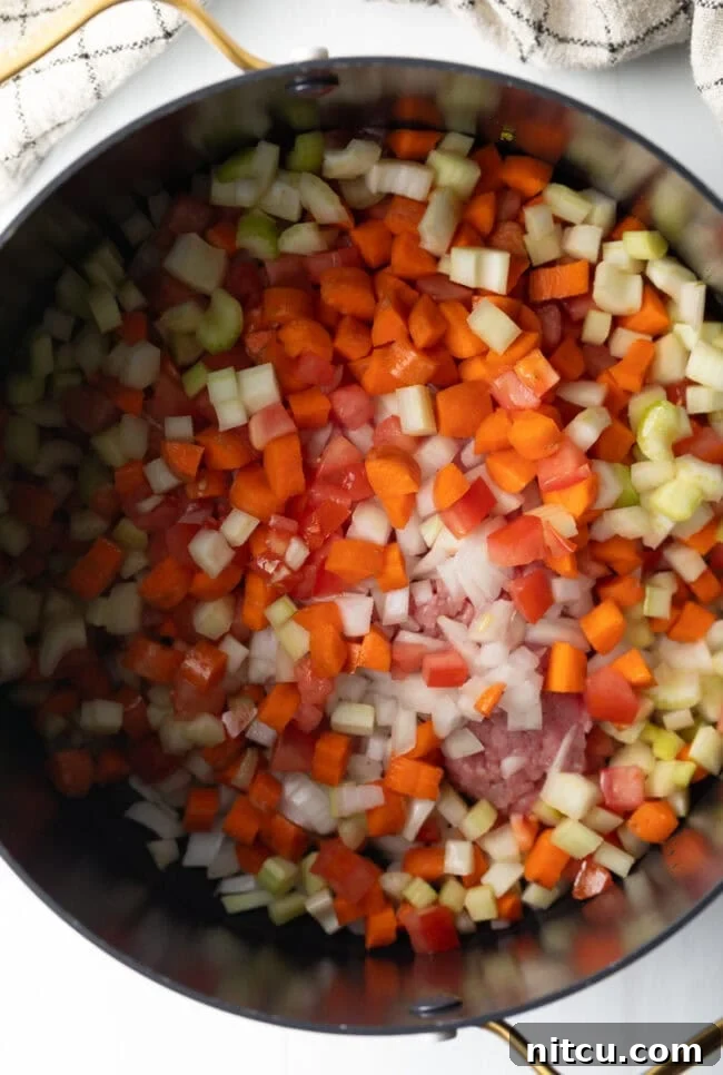 Golden Beef Essence 5 Top down view of consomme ingredients in a pot.