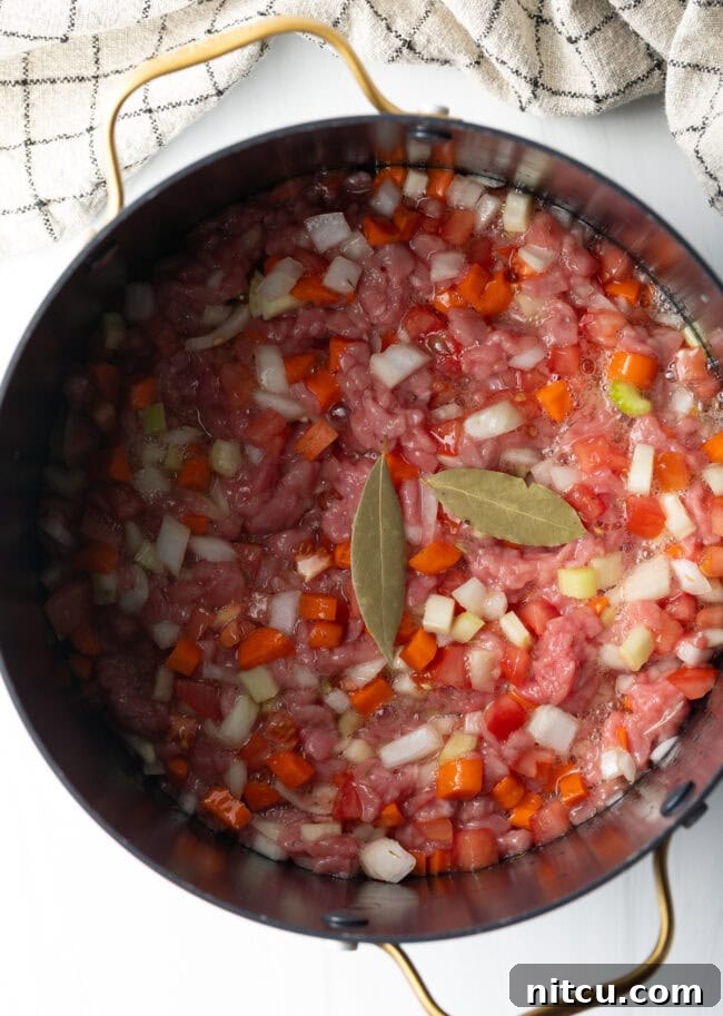 Golden Beef Essence 7 Top down view of consomme ingredients in a pot after adding beef stock.