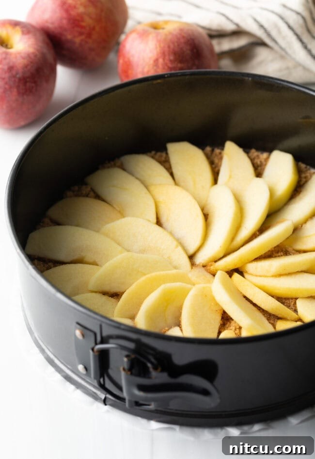 Effortless Apple Caramel Flip Cake 5 Slices of apple arranged in a spiral shape inside a springform baking pan.