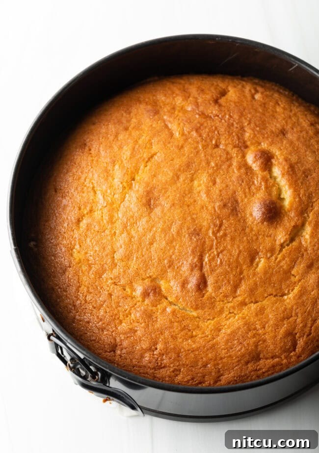 Effortless Apple Caramel Flip Cake 7 Baked cake in a springform pan.