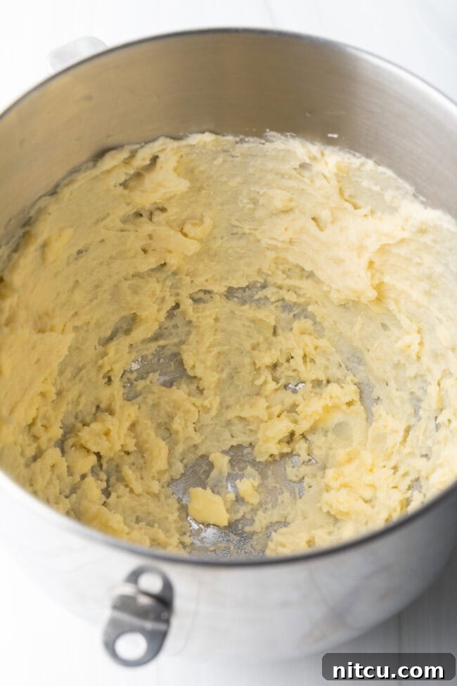 Spudnut Delights 6 Mixing bowl with beaten mashed potatoes.