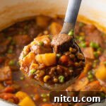 Kitchen Sink Stew 14 Ladleful of Mulligan stew with chopped potatoes, carrots, peas, and chunks of beef.