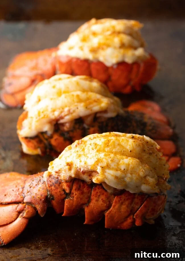 Boiling or Baking Lobster Tails Uncover the Best Method 2 Three plump cooked lobster tails on a baking sheet, glistening with butter.