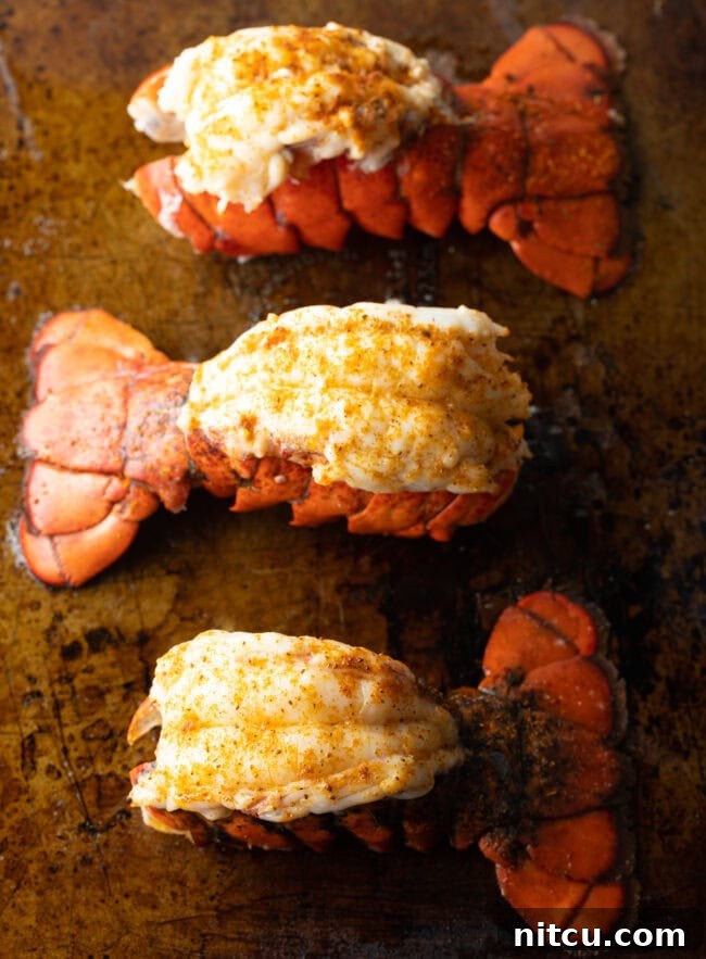 Boiling or Baking Lobster Tails Uncover the Best Method 13 Top-down view of three plump, perfectly cooked lobster tails, arranged attractively on a baking sheet, glistening and ready to serve.
