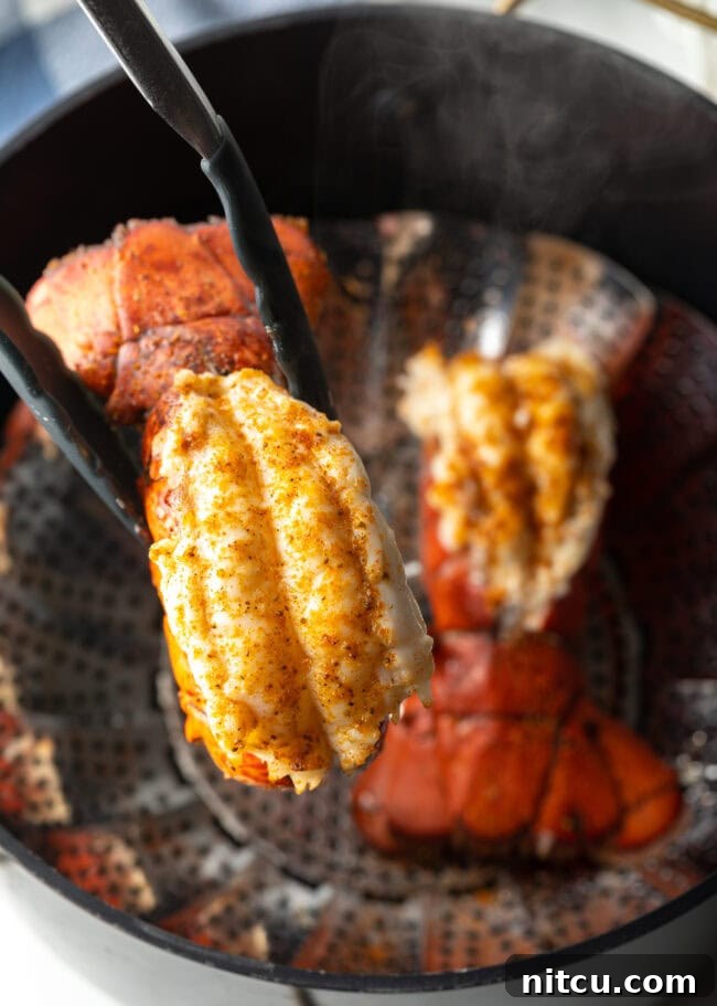 Boiling or Baking Lobster Tails Uncover the Best Method 3 Cooking tongs gently holding up a perfectly cooked lobster tail, showcasing its vibrant red shell and tender white meat.