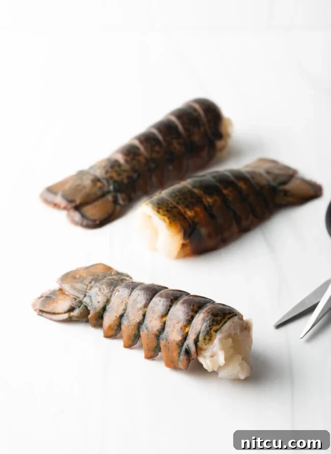 Boiling or Baking Lobster Tails Uncover the Best Method 4 Fresh, raw lobster tail in its shell resting on a pristine white background, ready for preparation.