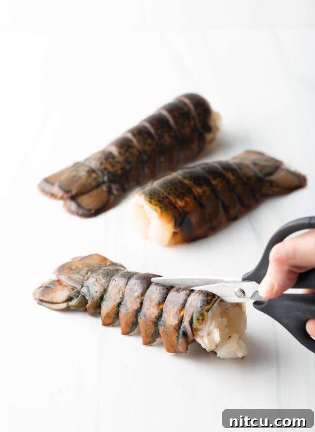 Boiling or Baking Lobster Tails Uncover the Best Method 5 Using kitchen shears to meticulously cut the lobster shell in half lengthwise, preparing it for butterflying.