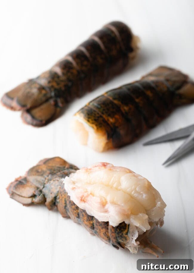 Boiling or Baking Lobster Tails Uncover the Best Method 6 Raw lobster tail beautifully butterflied with its pristine white meat exposed and resting elegantly on top of its vibrant red shell, ready for seasoning.